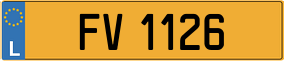 Truck License Plate